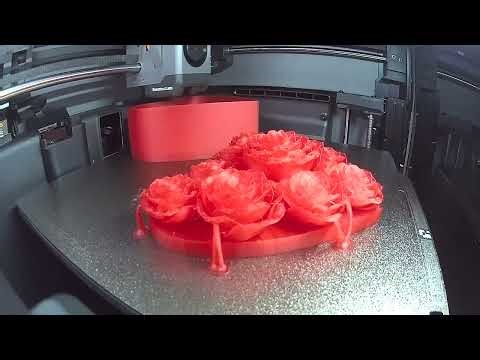 Heart Of Eternal Roses by PrintDesigns Translucent Red PLA Amcad Graphics Bambu Labs P2S AMS 2 Pro