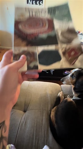 Discover Free Crochet Patterns from Your Library