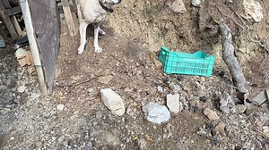 76K views · 7.2K reactions | I found the house in the village of...