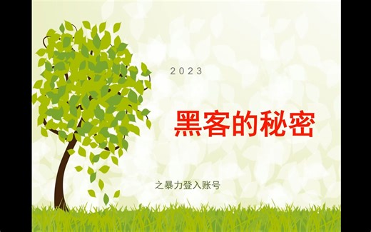 黑客攻防技术，逆向破解，C语言，java，C++通用