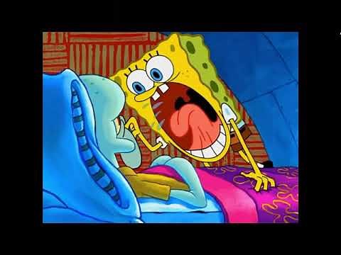 SpongeBob yells at Squidward