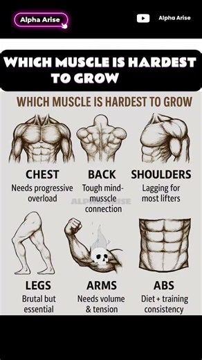 👉 Which Muscle Is HARDEST To Grow? 💀 (Be Honest!) #shorts #memes #duet #motivation #viral #fyp