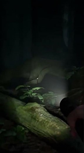 Flashlight Reveals Hidden Path in Haunted Forest | Night Exploration Horror Clip