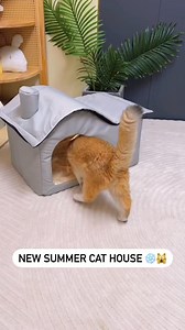 751K views · 6.3K reactions | The Coolest Cat Haven You Need to See!. Check the first comment for the link! | Beautiful cats | Facebook