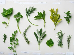 13 Ways to Cook with Fresh Parsley