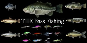 THE Bass Fishing