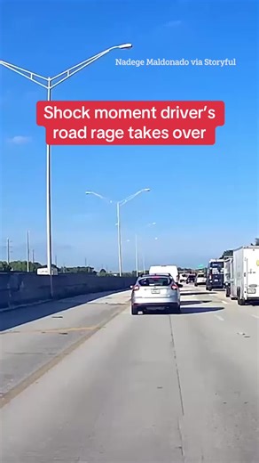 Road Rage Incident: Motorist Attacks Another Vehicle