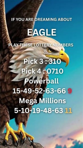 If you are dreaming about an Eagle, play these lucky lottery numbers.