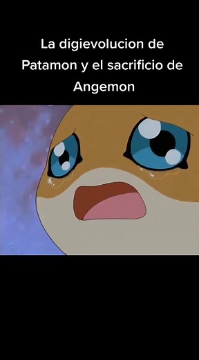 Patamon digievoluciona a Angemon ✨ #digimon #patamon #angemon #anime | digimon