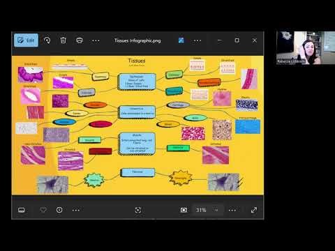 Tissue Types- Mind Map