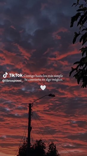 Frases Bonitas para Perfil en WhatsApp