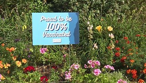Springfield businesses ‘proud to be 100% vaccinated,’ sharing their milestone with signs