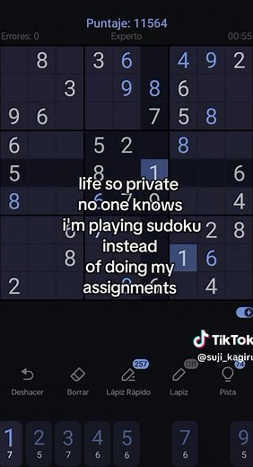 How to Play Sudoku: A Fun Game Instead of Homework