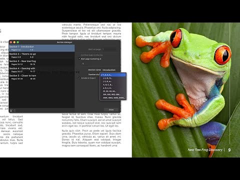 Page Numbering (Affinity Publisher)