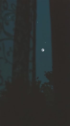 Felt like singing so… Credits: Learned from : Gaurav Chanda (YouTube) Image: Omar Ramadan (Pexels) 🪷 | Uttam Ghosh