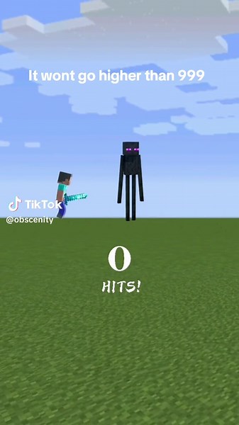 Minecraft Enderman Memes and Filter Compilation