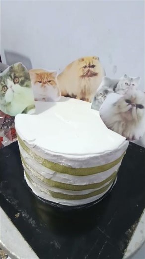 cat birthday cake that packs #birthday cake..