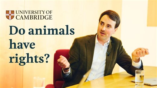 Animal Rights Law at Cambridge University | Cambridge Centre for Animal Rights Law