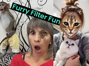 3M views · 176K reactions | Best pet reactions to filters  | Animal Antics | Facebook