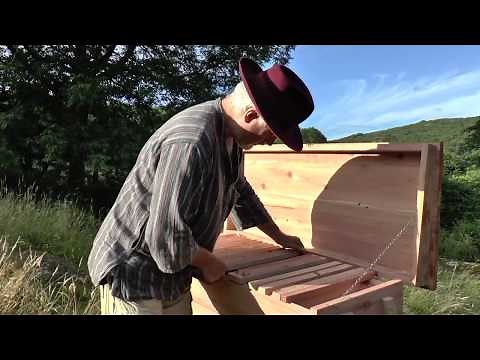 The Top Bar Hive: key features and benefits