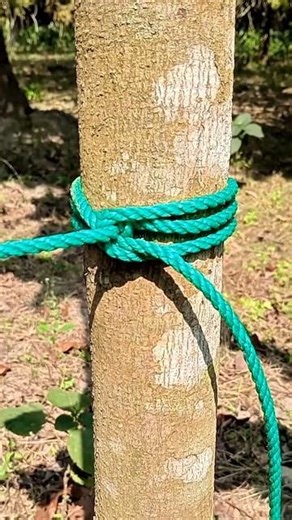 Strongest Loop Knot Ever? Climbing-Tested & Daily Use Ready!