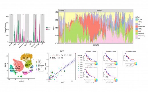 单细胞联合bulk转录组的通用教程