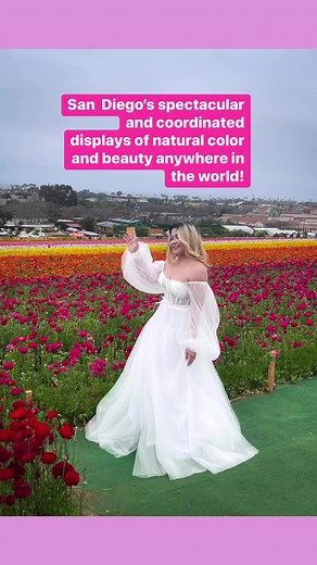 The 55-acres of Giant Tecolote Ranunculus flowers that make up The Flower Fields at Carlsbad Ranch® in Carlsbad, California, are in bloom for approximately six to eight weeks each year – from early March through early May . Been dreaming this place! And now, I am sharing with you 12.6K flowers! 💕💗🫰🏻💕💗🫰🏻💕💗🫰🏻💕💗🫰🏻 #happyjuly #travelreels #sandiego #californiaadventure #barbiemovie #barbieworld | Analyn Abanto Manalac