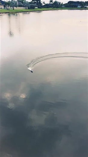 Rage Rc Lightwave electric micro RTR boat review ‪@RoobsRC‬