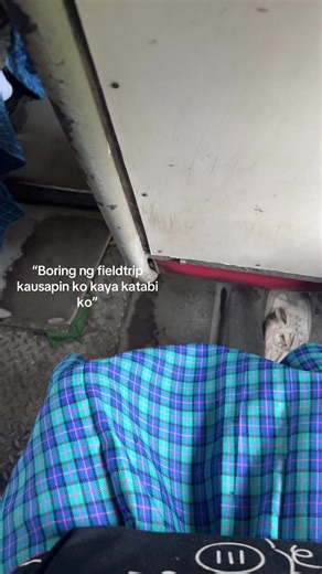 Enjoying My Day at a School Field Trip