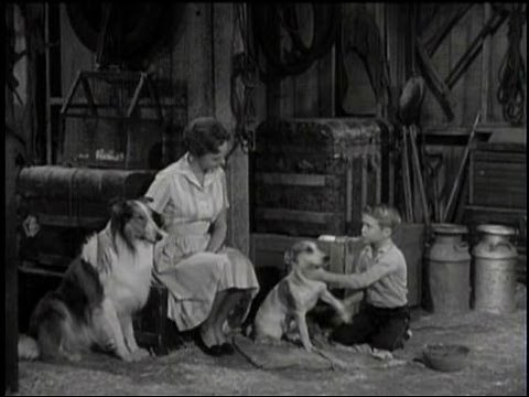 Lassie - Episode #238 - "The Mad Dog" - Season 7, Ep 19 - 01/22/1961