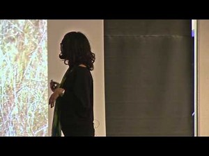 TEDxUHasselt - Ann-Pascale Bijnens - About birds and bees, innovation with universities