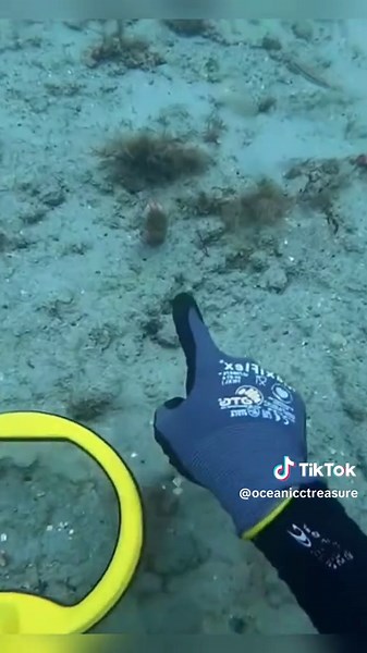 Underwater scuba diving surprise: what did they find?