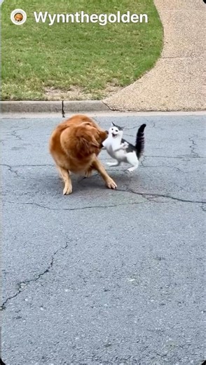 Overestimating friendliness