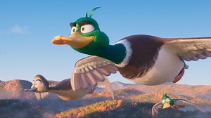 Why some ads for the new movie 'Migration' are promoting a nonprofit bird rescue