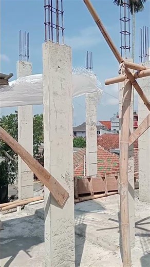 Progress April 05.2026: Salvia type, Block A.01