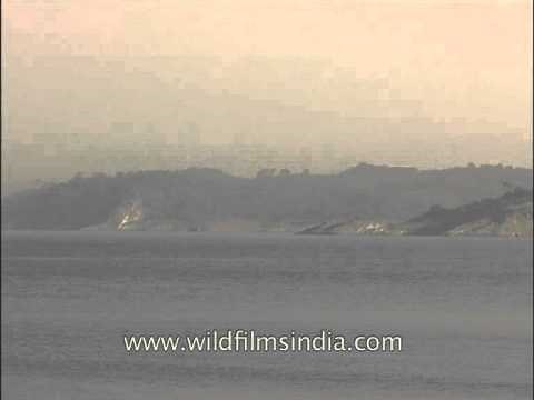 Pong dam in Himachal Pradesh