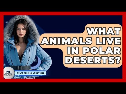 What Animals Live In Polar Deserts? - Polar Regions Uncovered