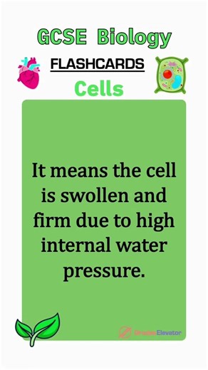 Cell biology revision flashcards GCSE #education #revision #combinedscience