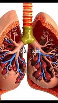 COPD EXACERBATION:Airflow Failure & V/Q Catastrophe #Pathophysiology #3DMedicalAnimation