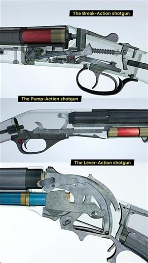 Evolution of shotguns