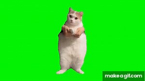 Cat Dancing to EDM - Green Screen on Make a GIF