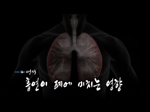 [명의 의학백과📖] 흡연이 폐에 미치는 영향