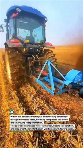 Massive Field Tillage Power! Tractor Deep Ripping Performance #FarmTech #TractorLife #AgriMachinery