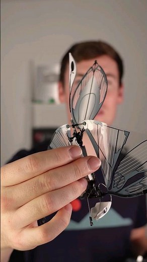 This Drone has WINGS! #technology #engineering #drone