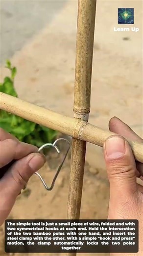 Building a plant trellis has never been easier
