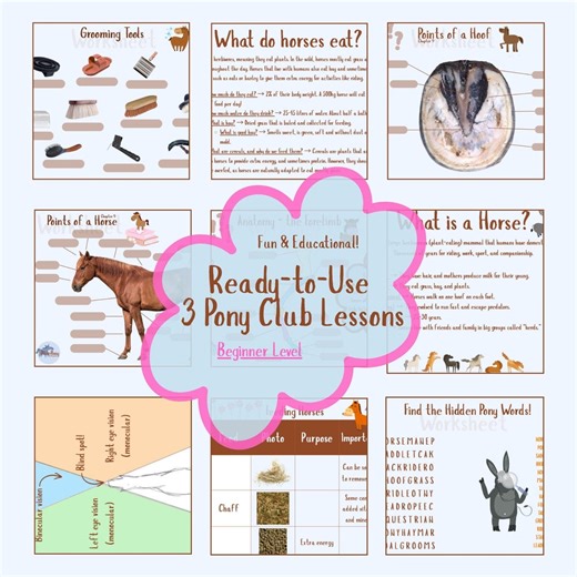 Pony Club Activities Pack | 3 Horse Care Lessons | Worksheets, Games & Flash Cards for Beginner Riders - Etsy