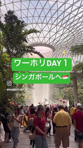【シンガポール英語留学・ワーホリ】シンガポールへ渡航した日の様子です🇸🇬 #シンガポール留学 #シンガポール旅行 #海外インターン #語学留学 #休学留学 #ワーホリ #英語留学