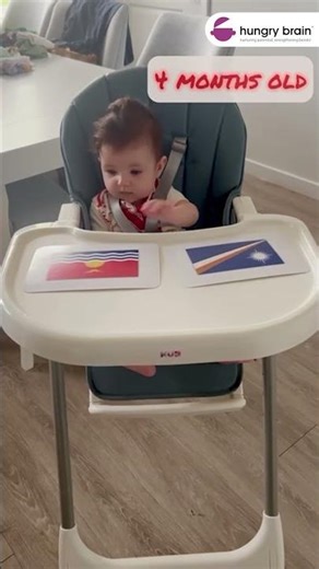 Can a 4-Month-Old Recognise Country Flags? YES — Here’s Proof!#ParentingTips #NewParents