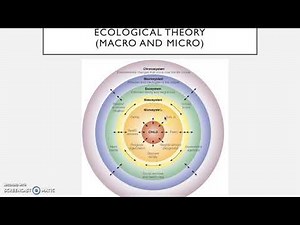 Bronfenbrenner's Ecological Theory - explained