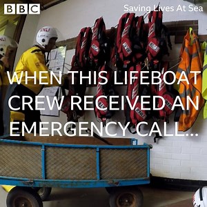 39K views · 52 reactions | That awkward moment when you accidentally rescue a tree from drowning...  | BBC Two | Facebook